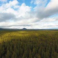 Bull Springs Skyline Forest