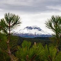 Bull Springs Skyline Forest images 3