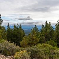 Bull Springs Skyline Forest images 5