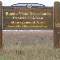 Buena Vista Wildlife Area 12,790 Acres of turkey Hunting land in Portage Wi images 5