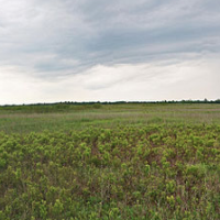 Buena Vista Wildlife Area 12,790 Acres of turkey Hunting land in Portage Wi images 3