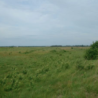 Buena Vista Wildlife Area 12,790 Acres of turkey Hunting land in Portage Wi images 2