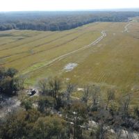 145 - acres Pine Island Dr Abbeville LA 70510 images 2