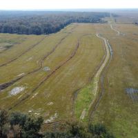 145 - acres Pine Island Dr Abbeville LA 70510 images 4