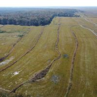 145 - acres Pine Island Dr Abbeville LA 70510 images 5