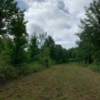 LA - Franklin 650 acres - images 5