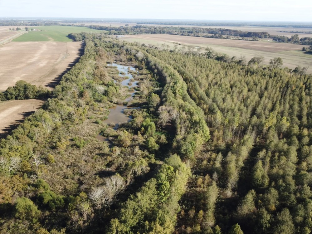LA - Tensas 130 acres - featured image