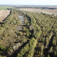 LA - Tensas 130 acres -