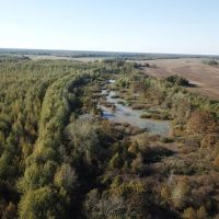 LA - Tensas 130 acres - images 3