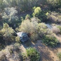 LA - Tensas 130 acres - images 5