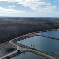 275-Acre Timberland for Sale in Tyrrell County NC images 3