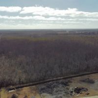 275-Acre Timberland for Sale in Tyrrell County NC images 4
