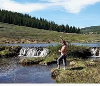 Buffalo Peaks Wilderness 41,232 acres Deer Hunting in Park, CO images 5