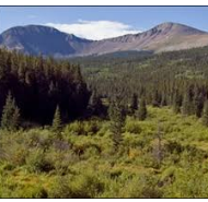 Buffalo Peaks Wilderness 41,232 acres Deer Hunting in Park, CO images 6
