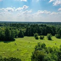 34 Acres FM 1374 Huntsville TX 77340 images 4