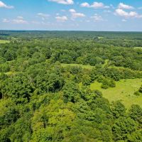 34 Acres FM 1374 Huntsville TX 77340 images 5