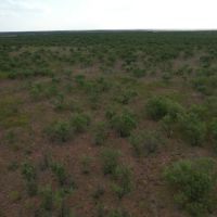 New Listing 100 - Acres Jones County images 4