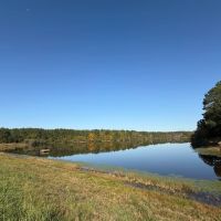 1 278.95 Acres in Lafayette Yalobusha Counties MS