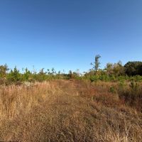1 278.95 Acres in Lafayette Yalobusha Counties MS images 2