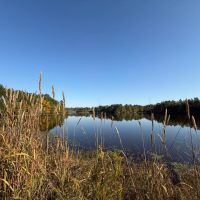1 278.95 Acres in Lafayette Yalobusha Counties MS images 4