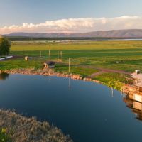 Island Ranch images 4