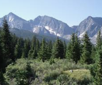 167,584 acres Collegiate Peaks Wilderness Deer in Lake County, CO images 4