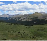 167,584 acres Collegiate Peaks Wilderness Deer in Lake County, CO images 6