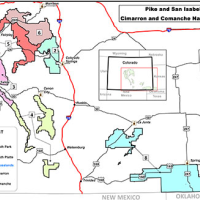 167,584 acres Collegiate Peaks Wilderness Deer in Lake County, CO images 1