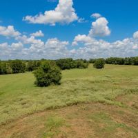 Cedar Hill Ranch images 5