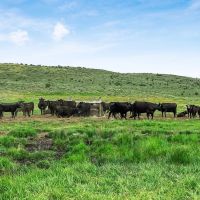 Poverty Ridge Ranch images 3