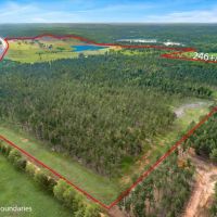 1547 E State Hwy 204 images 5