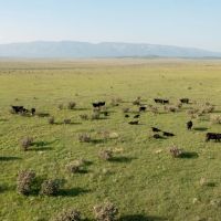 Block Ranch images 4