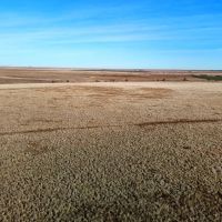 Affordable CRP Investment Recreational Property