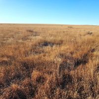 Affordable CRP Investment Recreational Property images 3