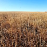 Affordable CRP Investment Recreational Property images 5