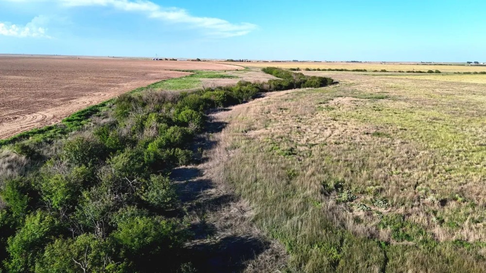Morton Co. KS 79.6 North featured image