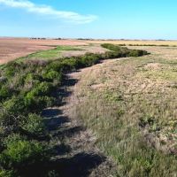 Morton Co. KS 79.6 North