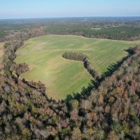 202.43 Acres in Attala County MS images 2