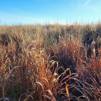 Investment CRP Parcels with High ROI