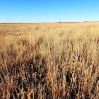 Investment CRP Parcels with High ROI images 2