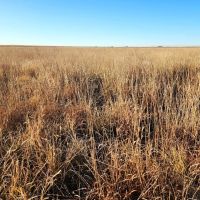 Investment CRP Parcels with High ROI images 4