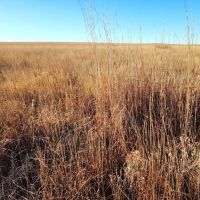 Investment CRP Parcels with High ROI images 5