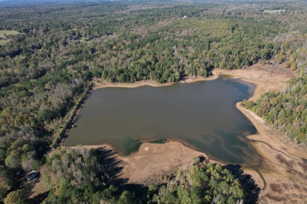 36 Acres in Yalobusha County MS featured image