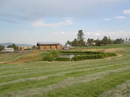 Stoney Ridge Ranch featured image