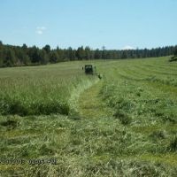 Stoney Ridge Ranch images 3
