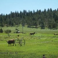 Stoney Ridge Ranch images 4