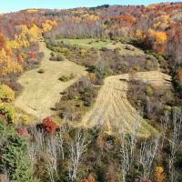 271 acre Hunting Retreat with House Woods and Ponds in Canisteo NY 4092 NY-36 images 3