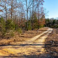 3 bed 2 bath house 62 - Acres Pond Cave City Arkansas images 3