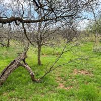 Ritter Creek Ranch images 5