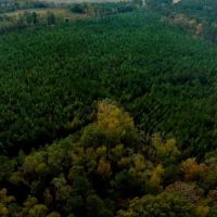 Water Oak Farm - Tract 7